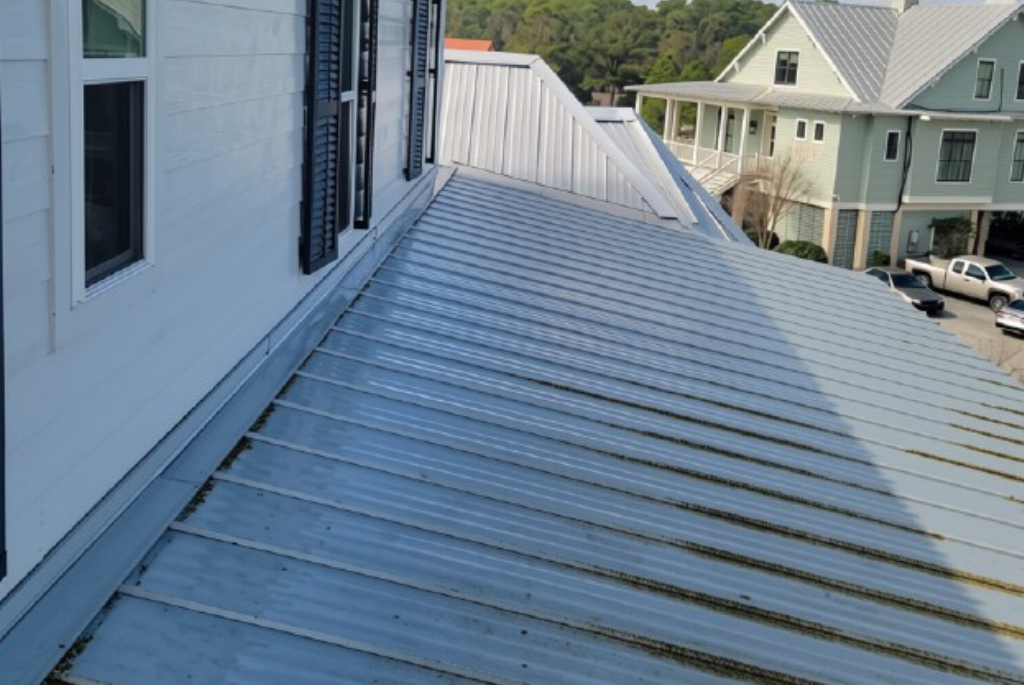 How Algae, Mold, and Mildew Spread in Coastal Neighborhoods